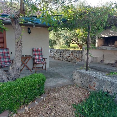 Apartmani Bugenvilija Brbinj Bagian luar foto