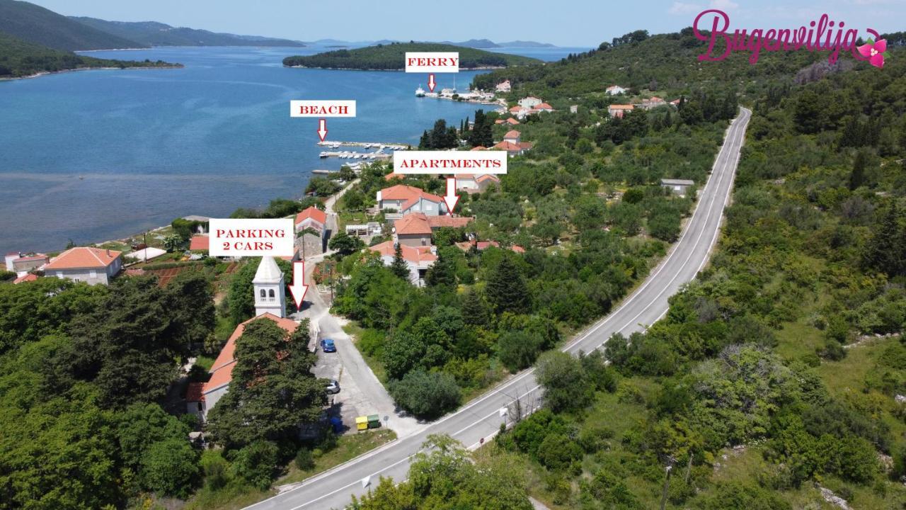 Apartmani Bugenvilija Brbinj Bagian luar foto